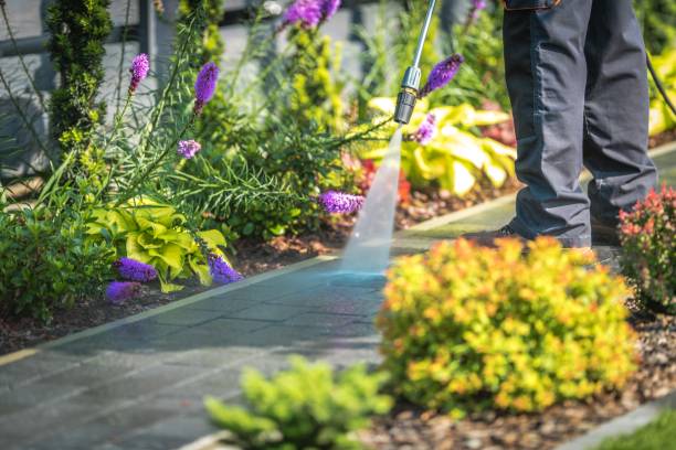 Best Spring Cleaning  in Pinconning, MI