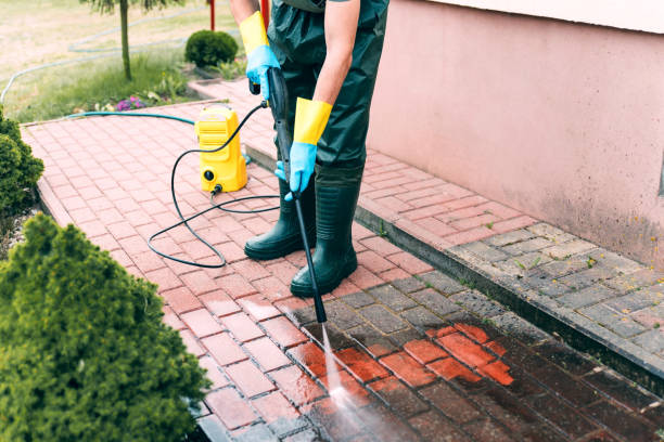Best Fence Cleaning  in Pinconning, MI