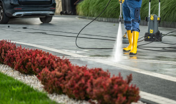 Best Sidewalk and Walkway Cleaning  in Pinconning, MI
